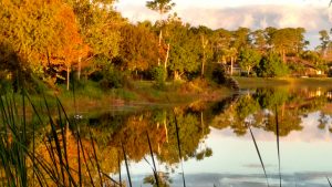 Autumn in Florida: things aren't always what they seem.